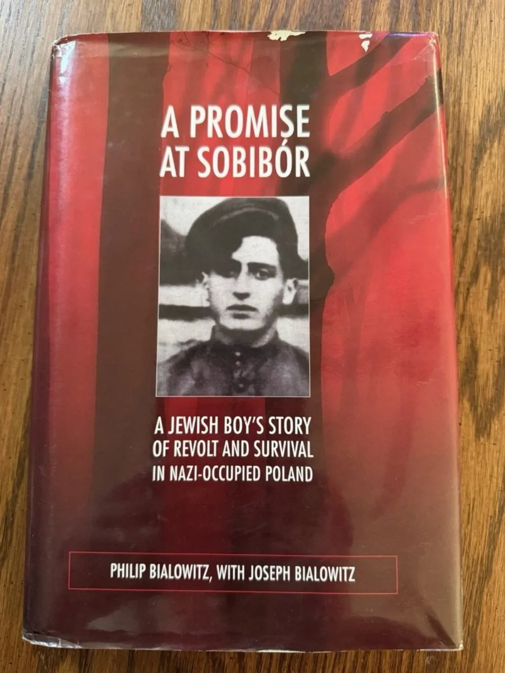 A‎ Promise at Sobibór: A Jewish Boy's Story of Revolt and Survival in Nazi: VG